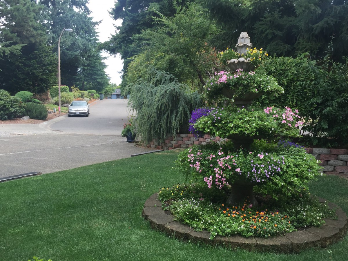 A beautifully landscaped garden with a variety of plants and flowers next to a quiet residential street.