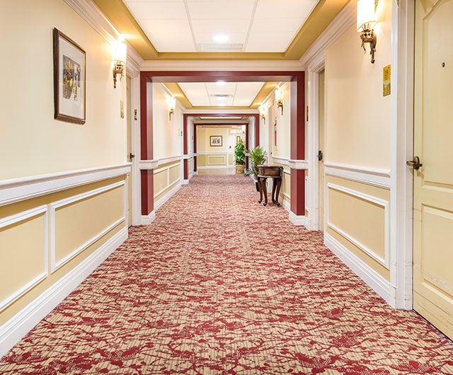A well-lit hotel hallway with patterned carpeting and elegant decor.