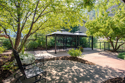 A serene outdoor garden setting featuring a pavilion shaded by lush trees.