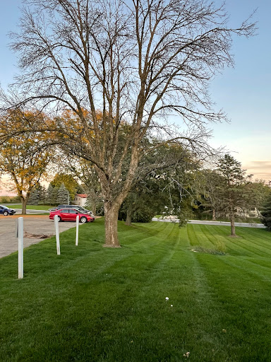 A tranquil outdoor scene featuring a large tree and well-maintained grass, illuminated by the soft light of the evening.