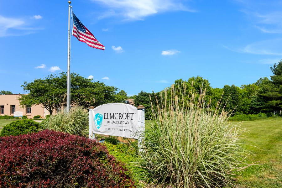 A school sign surrounded by landscaping with an American flag flying nearby.