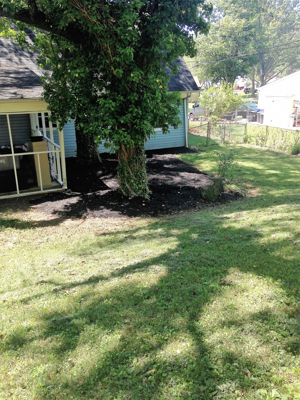 A sunny backyard with a house, tree, and well-maintained lawn.
