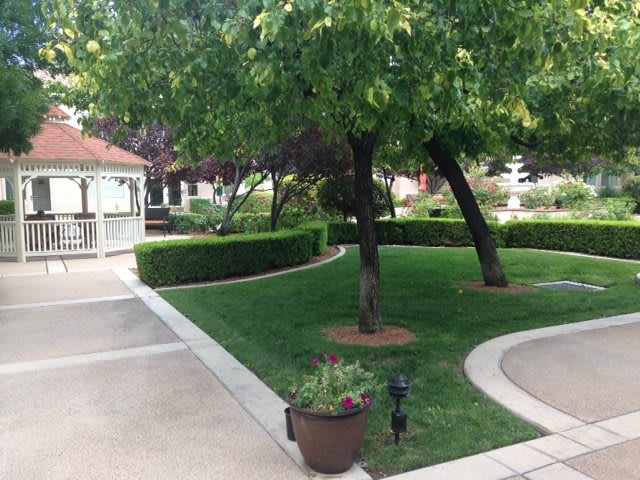 A well-maintained garden with lush green lawns, trees, and a decorative pathway.