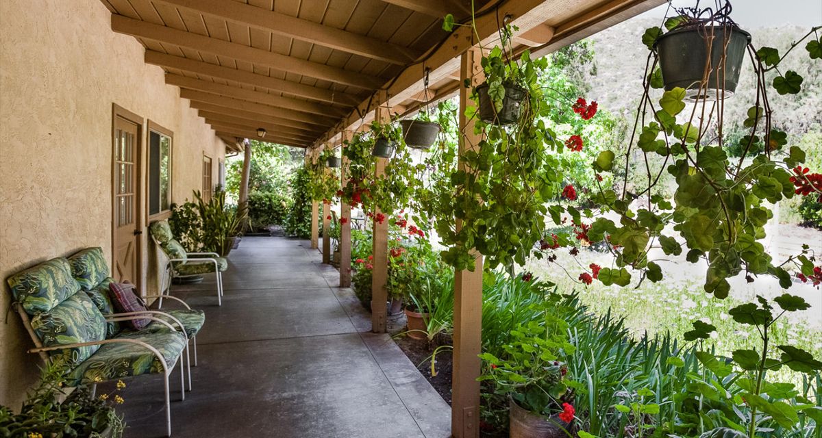 A charming porch with hanging plants and lush greenery.