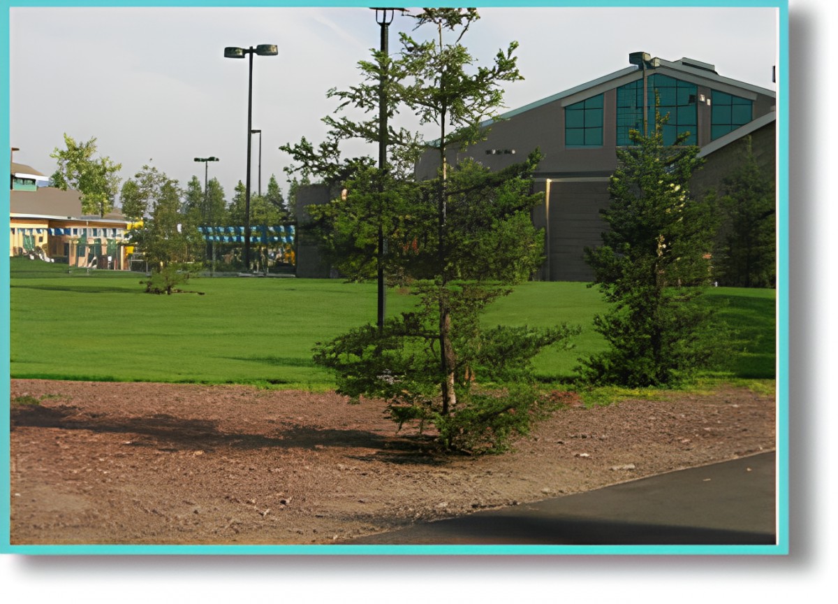 A New Haven Care Home - Adams