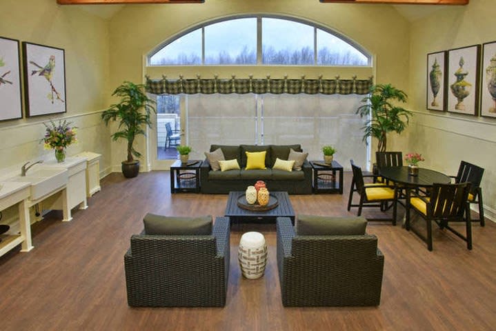 A modern living room with large windows, featuring a comfortable seating area accented by yellow pillows and surrounded by decorative plants.