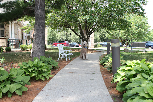 Mulberry Campus