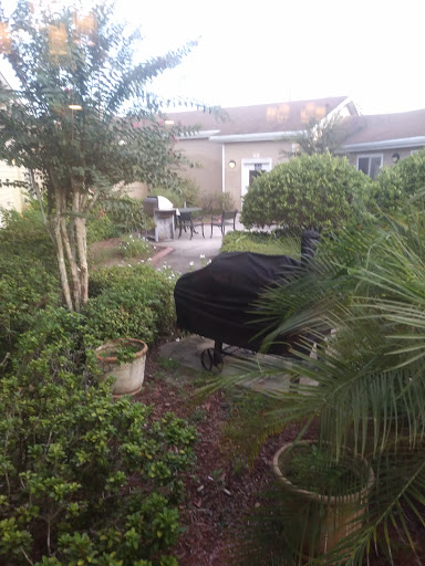 A tranquil backyard scene featuring a grill surrounded by lush greenery.