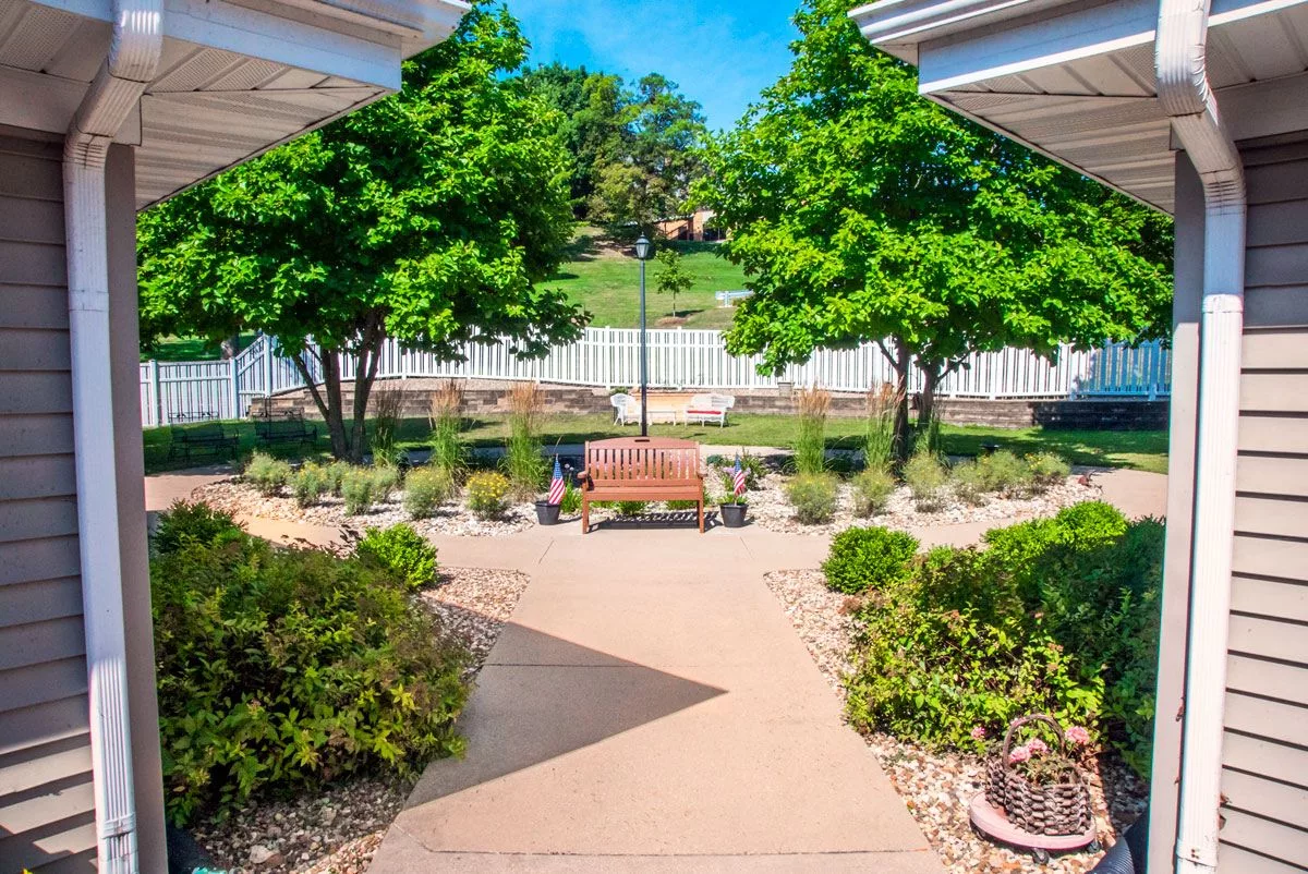 A serene garden with a central bench surrounded by greenery and trees.