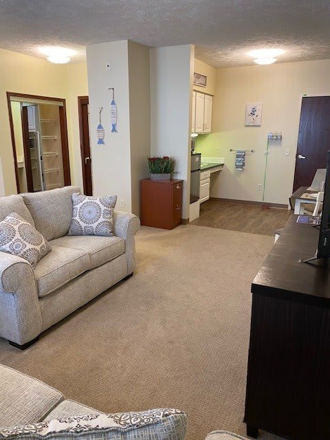 A cozy living room with a sofa, kitchenette, and modern decor.