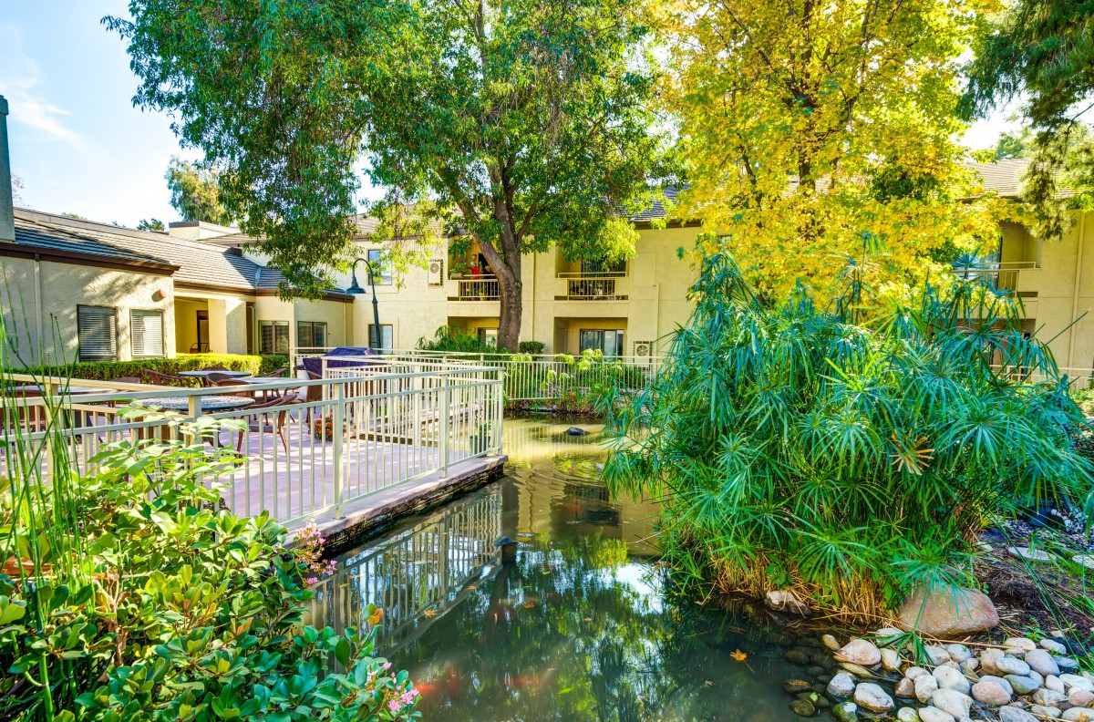 A serene garden setting with a small pond and bridge, surrounded by lush greenery and a building in the background.