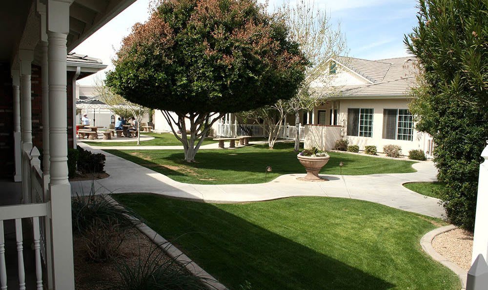 A well-maintained garden with a lush green lawn, a large tree, and a pathway leading to a building.