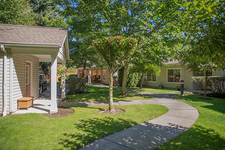 A peaceful suburban neighborhood with well-maintained yards and sidewalks.