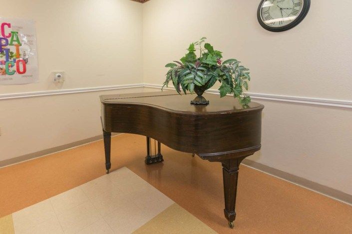 A grand piano with a decorative plant on top, situated in a room corner.