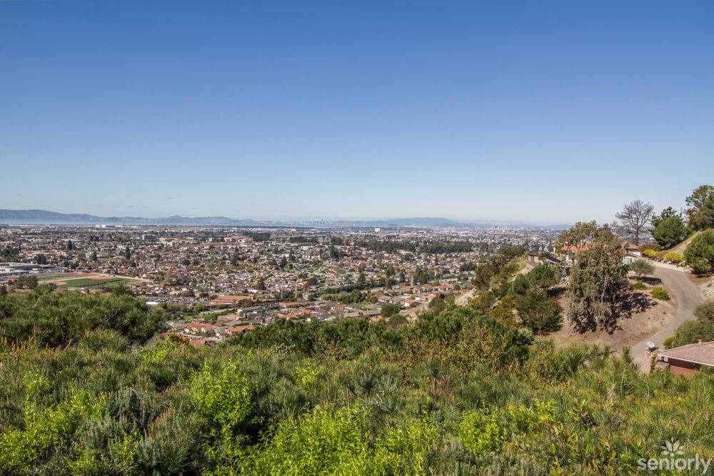 A scenic view of a city skyline with lush greenery in the foreground and clear blue skies above.