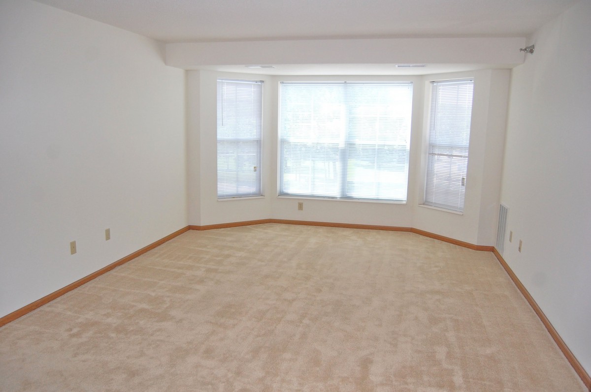 A spacious empty room with carpet flooring and a large window allowing ample natural light.