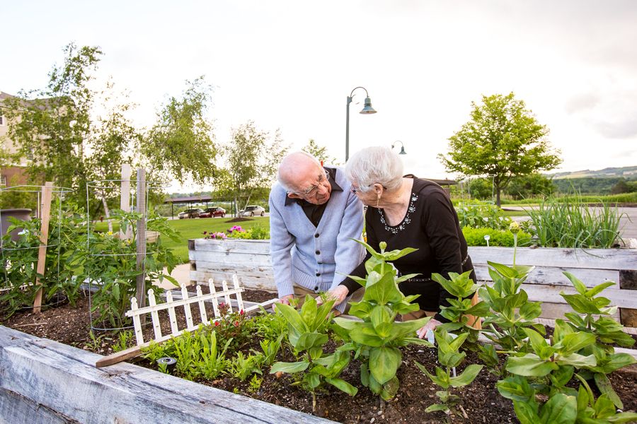 An elderly couple tending to their garden.