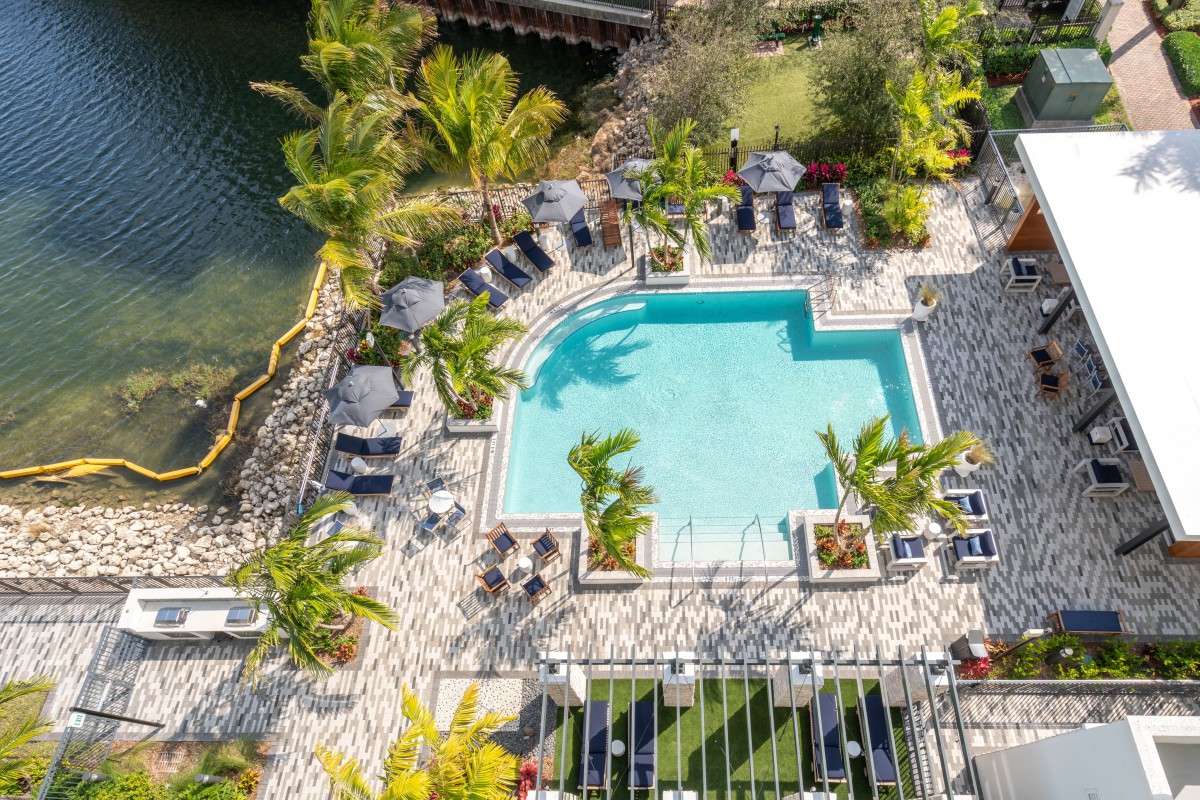 Aerial view of a tropical outdoor pool surrounded by palm trees and sun loungers.