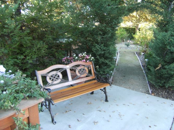 A serene garden setting with a wooden bench beside a gravel pathway surrounded by greenery.