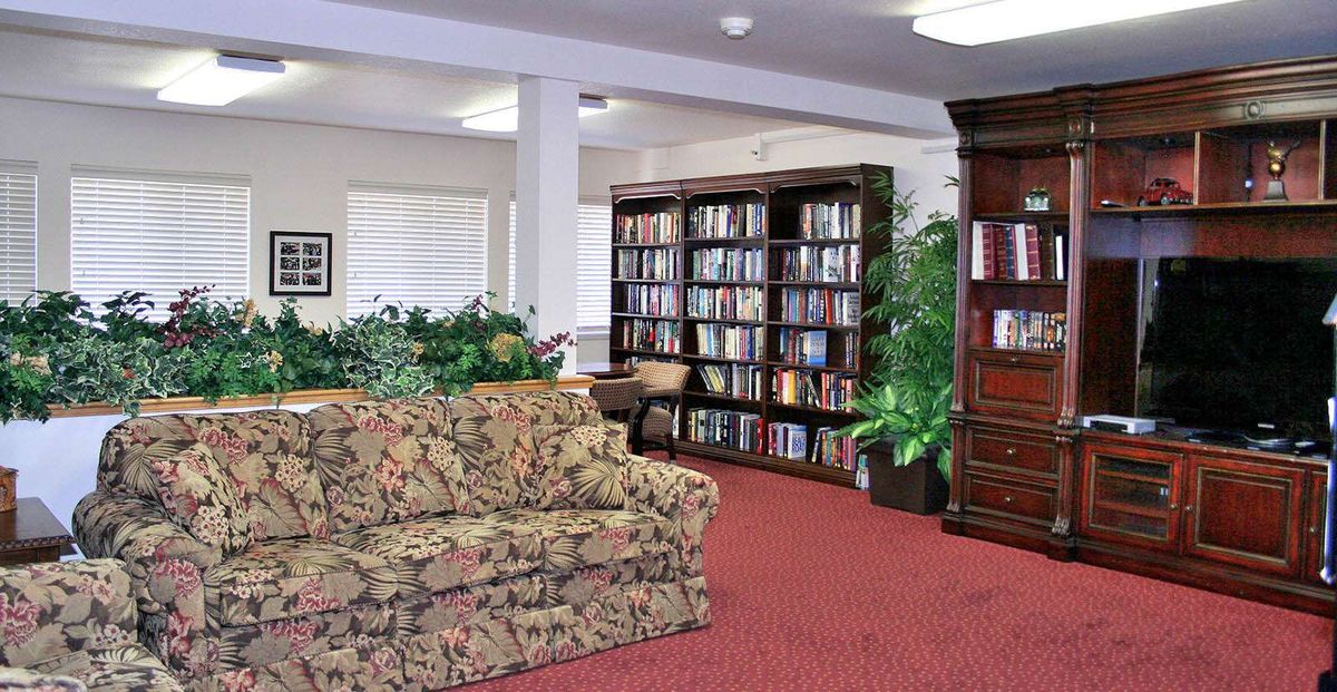 A cozy library corner with bookshelves, a floral sofa, and indoor plants.