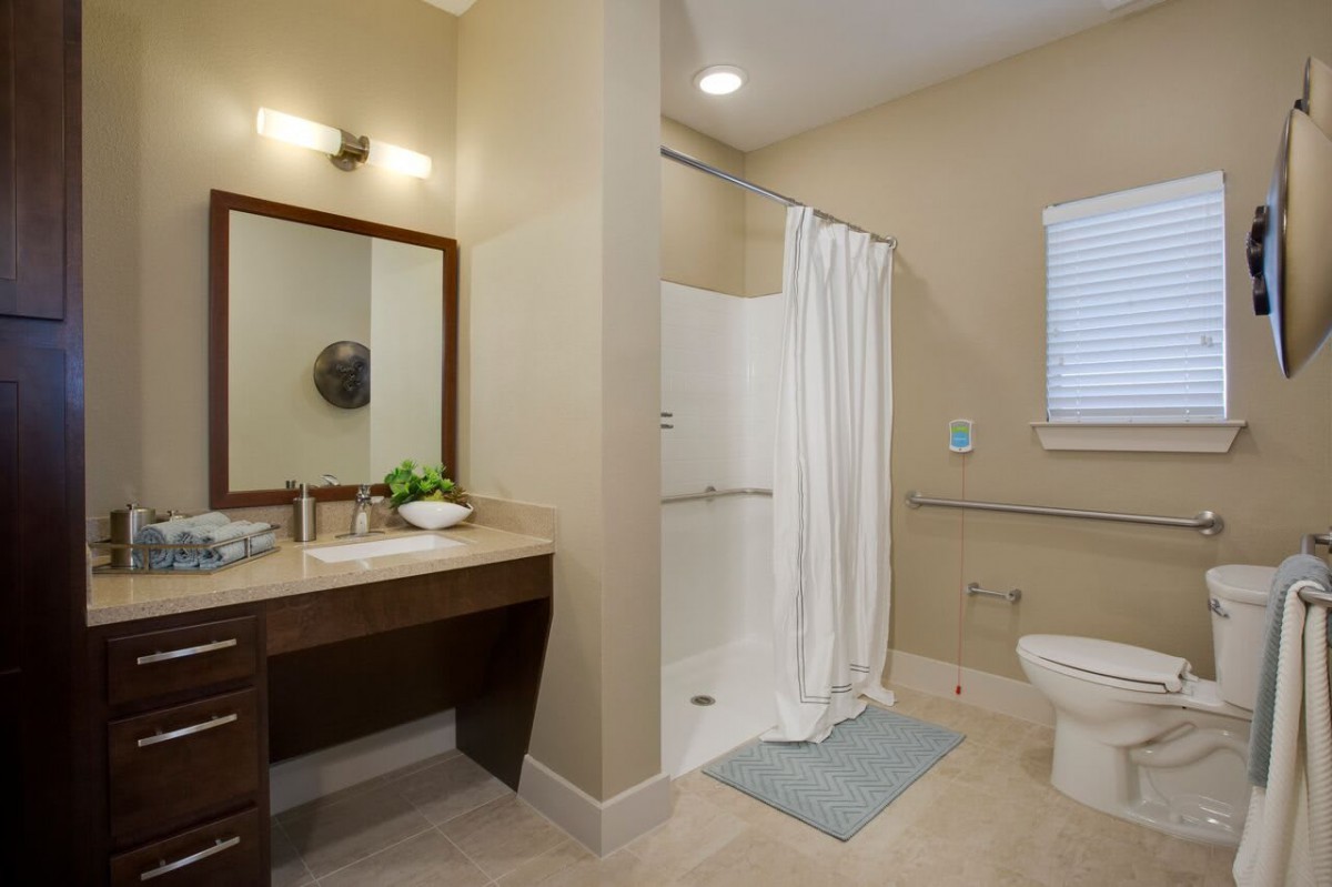 A modern bathroom with a vanity, shower, and toilet.