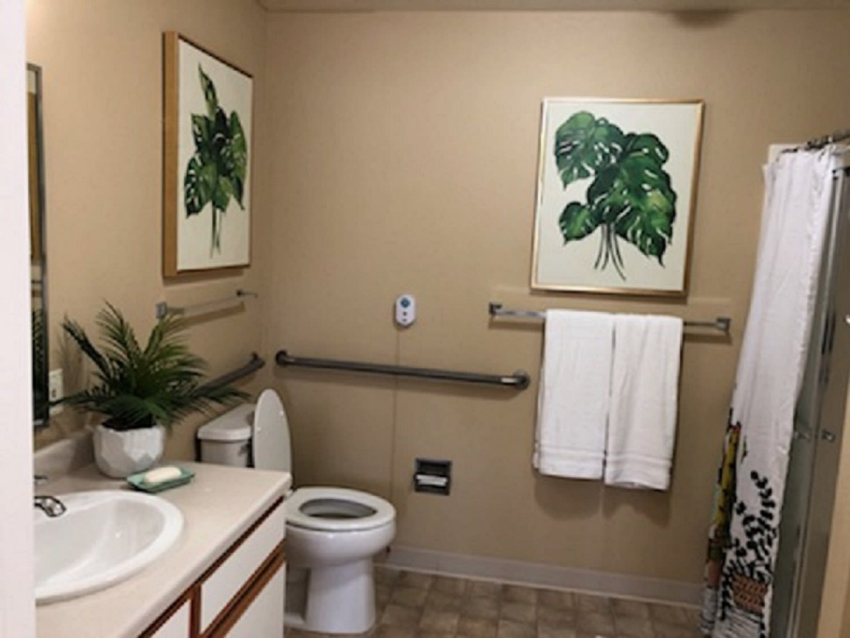 A neatly organized bathroom with botanical artwork on the walls and a small plant by the sink.