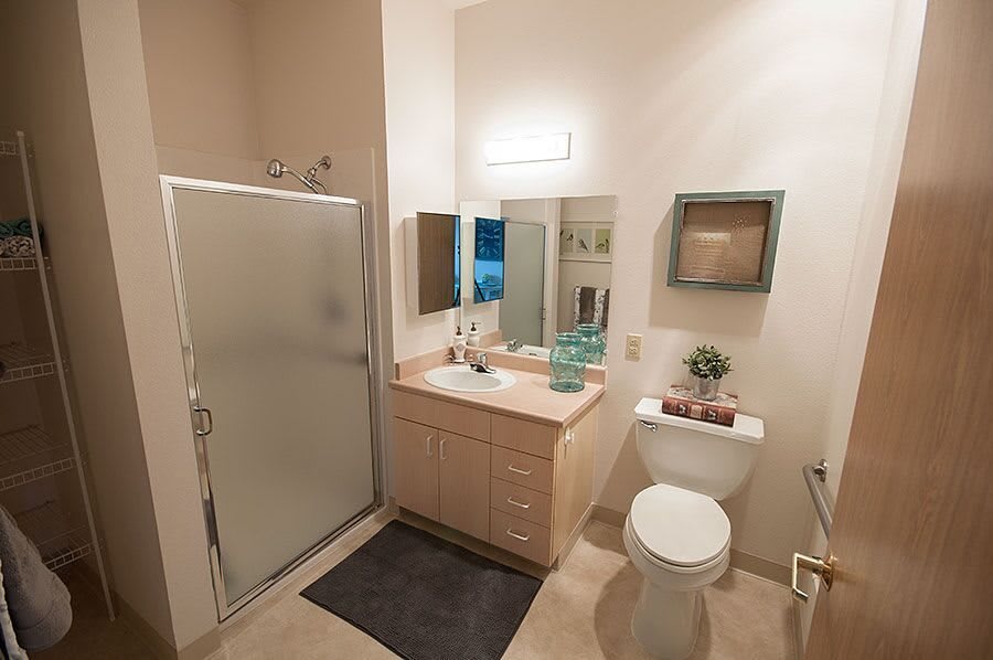 A modern bathroom with a shower, sink, and toilet.