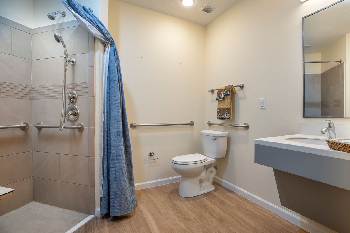 An accessible bathroom featuring a shower with grab bars, a toilet, and a sink.