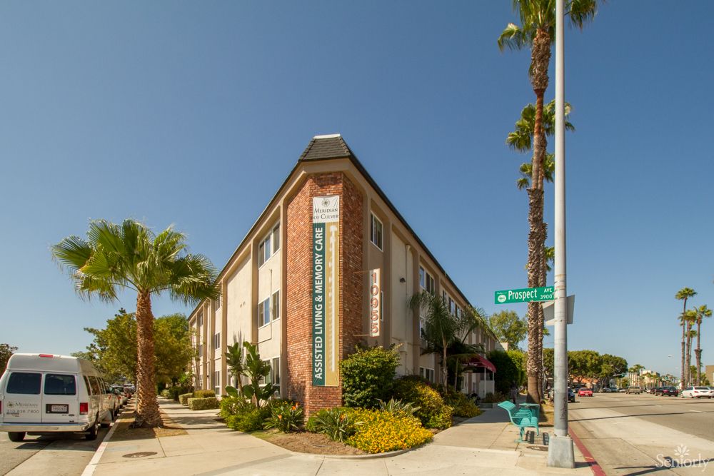 A street corner with a brick building and palm trees under a clear blue sky.