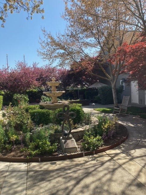 A well-maintained garden featuring a central fountain surrounded by various plants and trees on a sunny day.