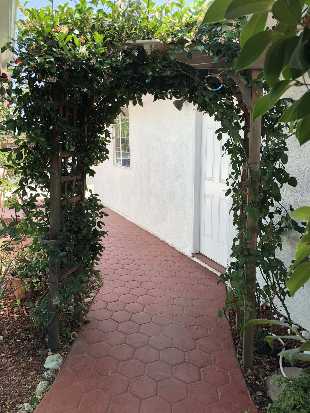 A garden archway covered in vines leads to a white building.