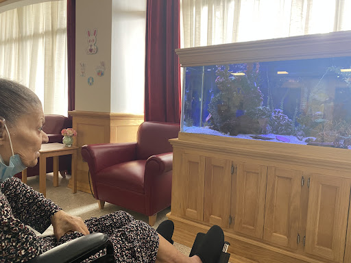 An elderly person in a wheelchair enjoying the peaceful view of an aquarium in a cozy indoor setting.
