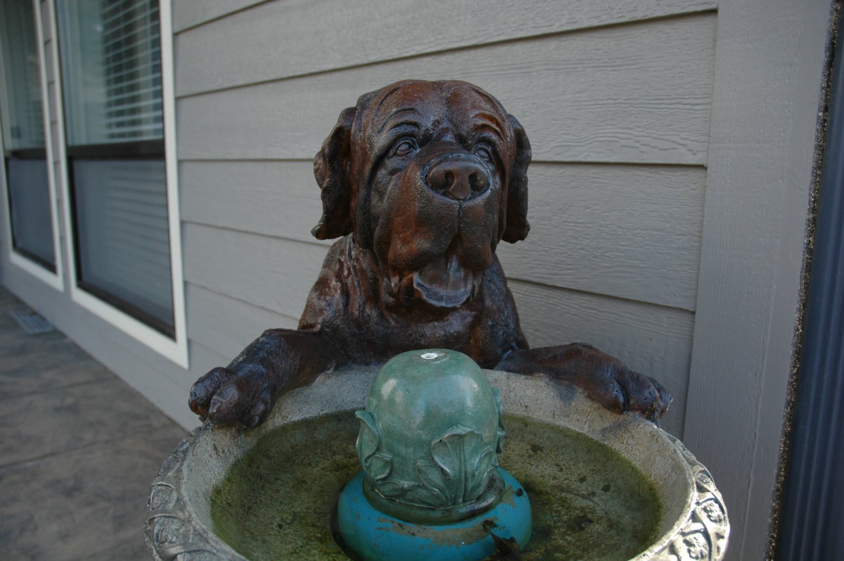 A dog-themed fountain with a playful sculpture and water feature.
