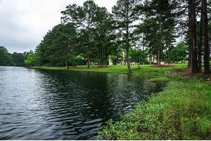 A serene lakeside view with lush trees and calm waters.