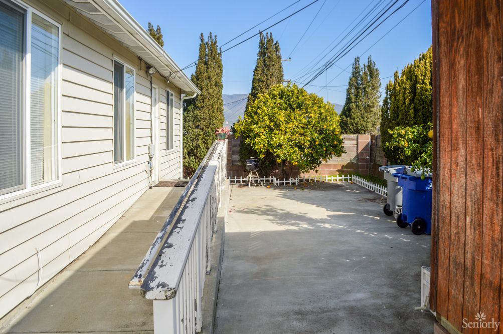 A concrete driveway beside a house, lined with trees and recycling bins under a clear sky.