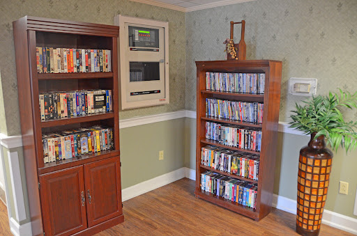 A cozy living room featuring two wooden bookshelves filled with a variety of DVDs, complemented by green wallpaper and warm flooring.