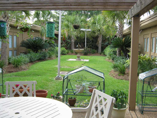 A serene garden view featuring lush greenery and a peaceful atmosphere.