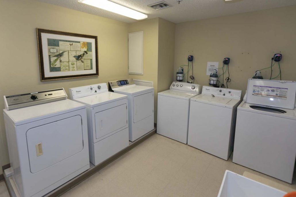 A laundry room with several washing machines and dryers lined up against the wall.