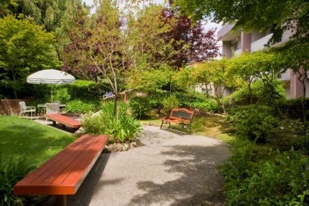 A serene garden featuring benches, a winding pathway, and lush greenery.