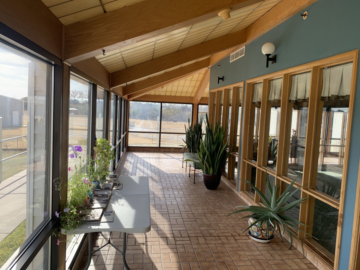 A sunlit indoor corridor featuring several potted plants and large windows.