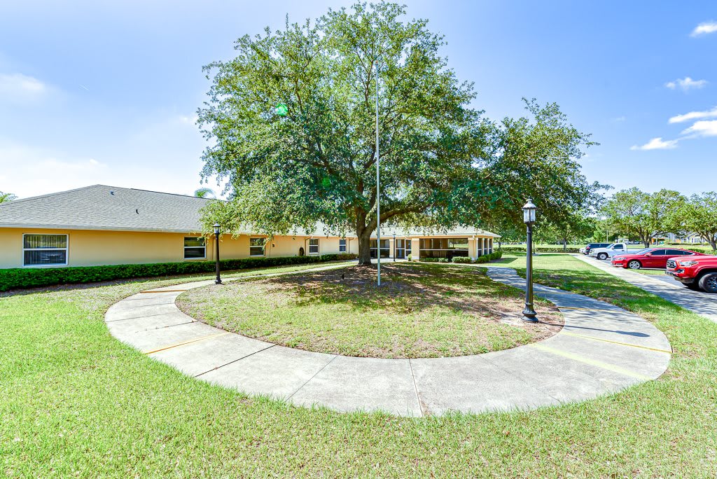 A building with a large tree in front, surrounded by a circular sidewalk and grassy lawn.