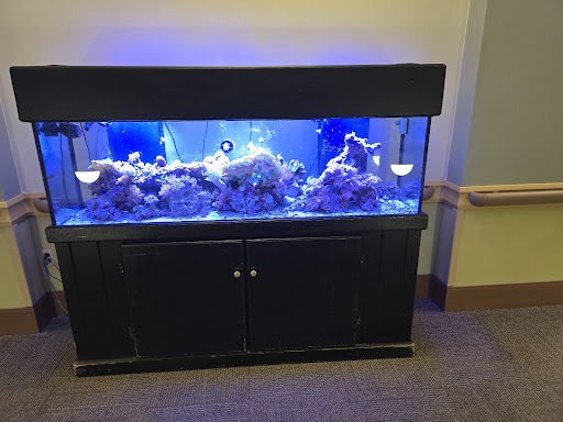 A beautiful aquarium showcasing coral and marine life, illuminated with blue lighting.