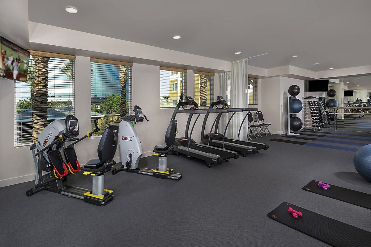 A modern gym equipped with treadmills, stationary bikes, and weightlifting equipment.