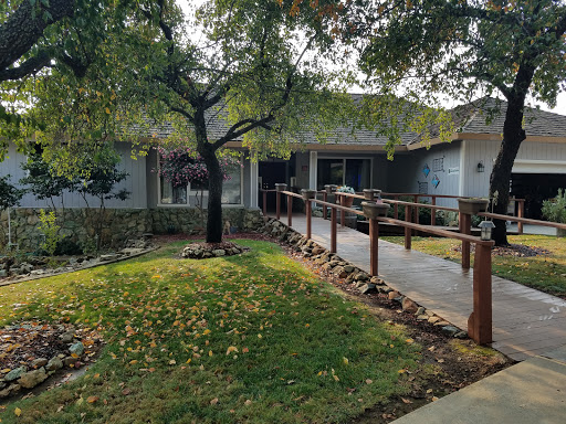 A peaceful residential exterior showcasing a well-maintained garden and a pathway leading to the entrance.