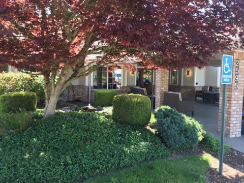 A beautifully landscaped garden with lush greenery and a tree in front of a house.
