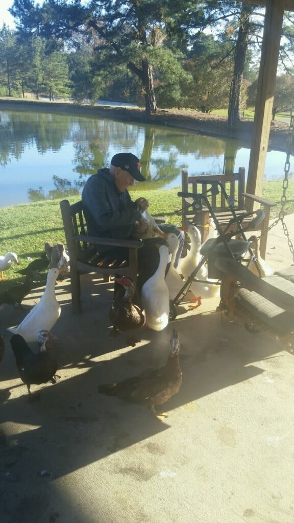 A man sitting on a bench in a park feeding birds beside a pond.