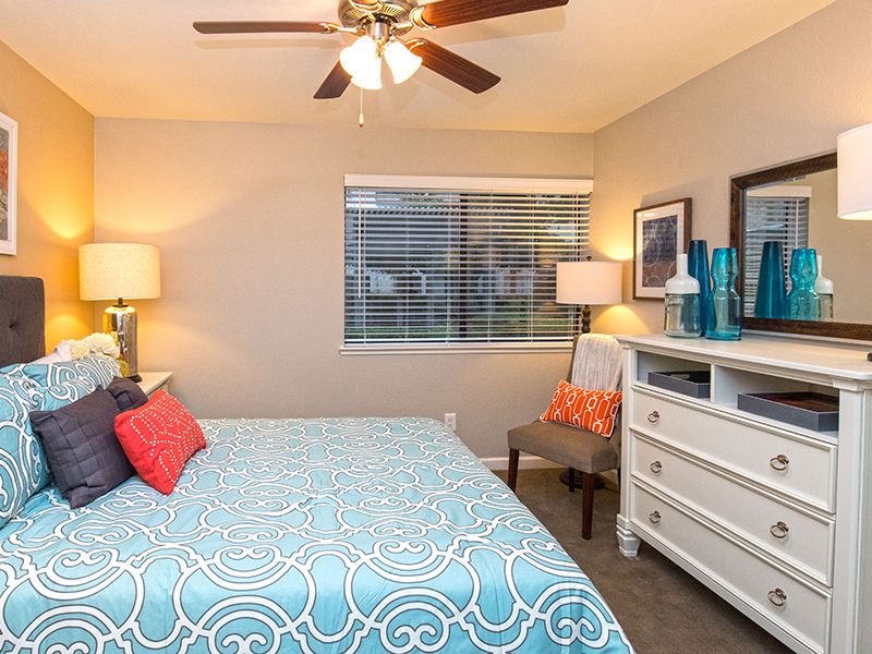 A modern bedroom with blue and white bedding, featuring a ceiling fan, dresser, and lamps.