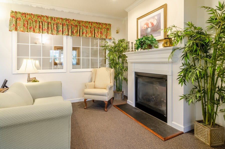 A cozy living room with a fireplace, armchair, and decorative plants.