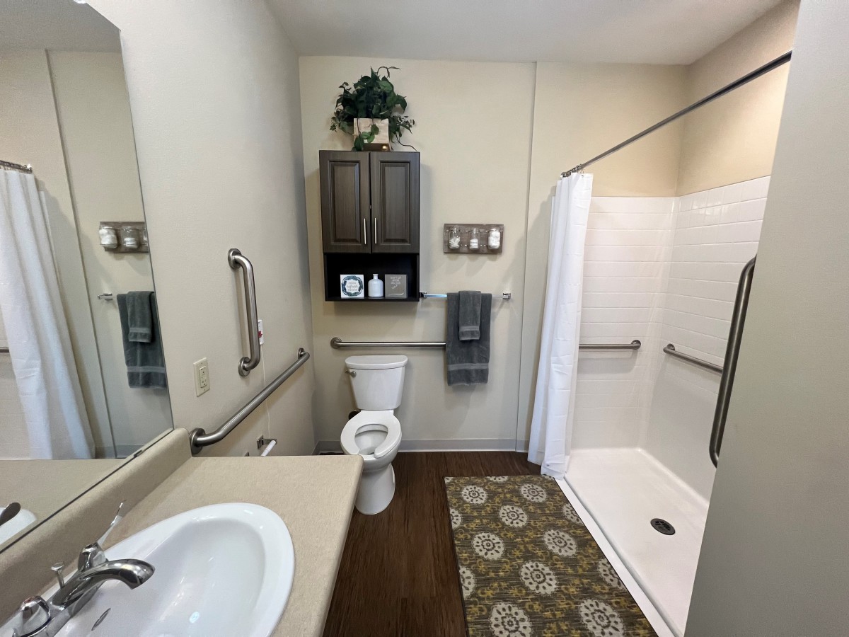 A modern, accessible bathroom with a shower, toilet, and sink equipped with grab bars for safety.