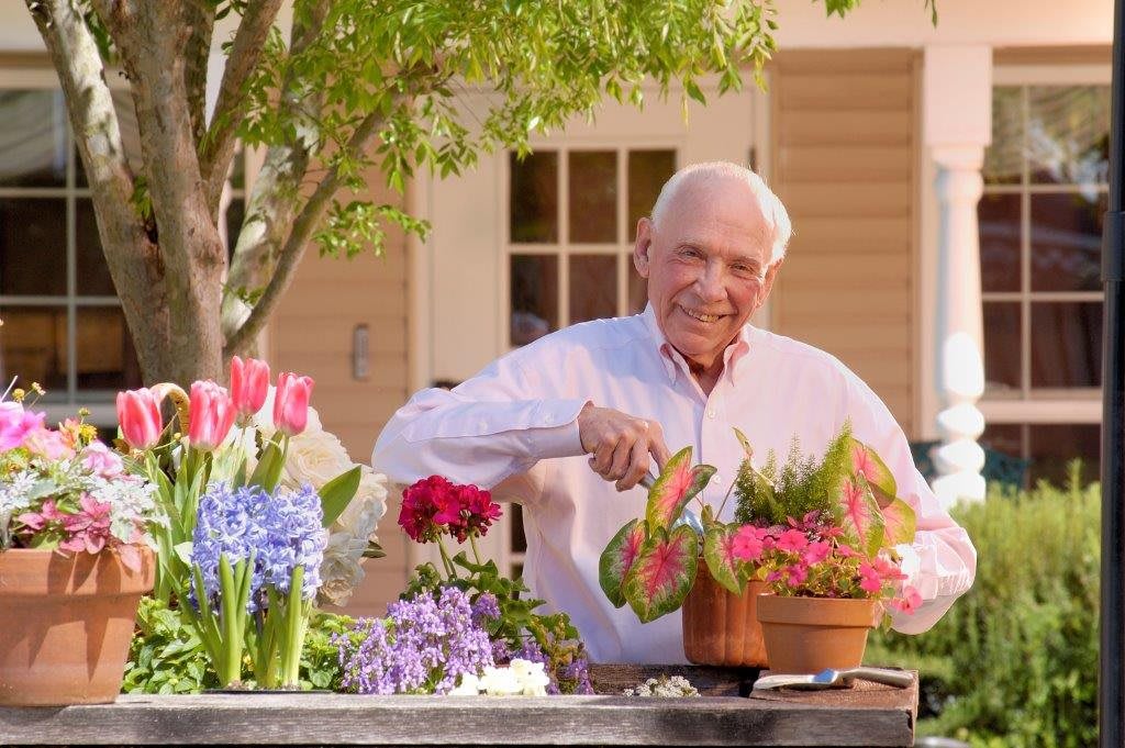 An elderly man gardening with colorful flowers in an outdoor setting.